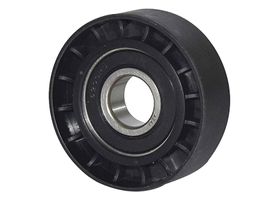 Polea Guía De Accesorios Lisa Nylon