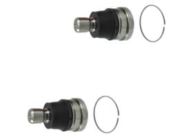 Par De Rótulas Delanteras Inferiores