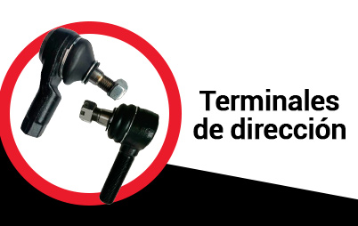 Terminales de dirección