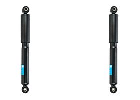 Par De Amortiguadores Gas Traseros