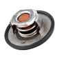 producto-2224125