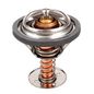 producto-2224021
