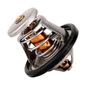 producto-48017