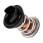producto-1240787