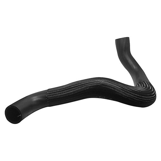 producto-2999569 producto-2999569