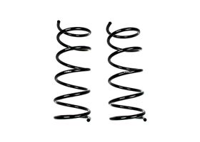 Juego De Resortes De Suspensión Delanteros