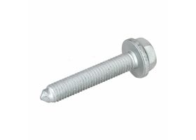 Tornillo De La Polea De Distribución