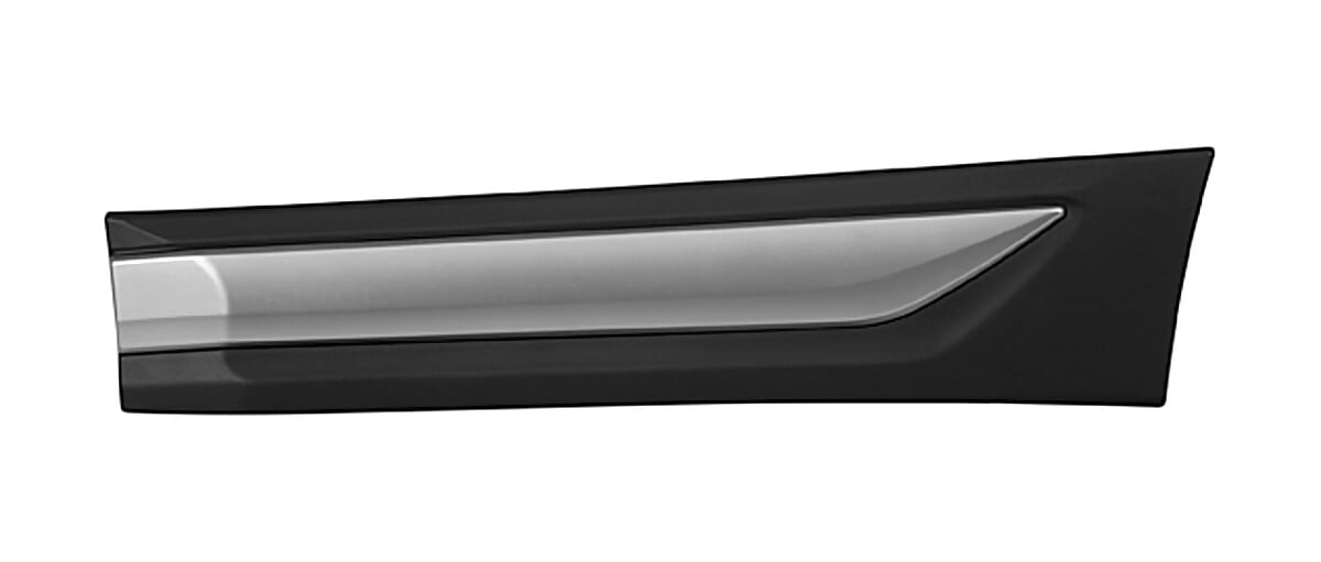 Moldura Para Puerta Trasera Lado Conductor