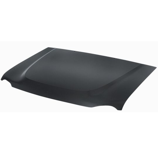 tong-yang-cofre-nissan-xterra-2002-2004-xterra-0