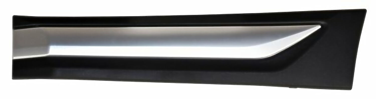 Moldura Para Puerta Trasera Lado Conductor