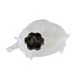k-nadian-deposito-anticongelante-chevrolet-cruze-2016-2019-cruze-l4-1-4l-0