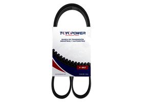 Banda Accesorios Serpentina Alternador