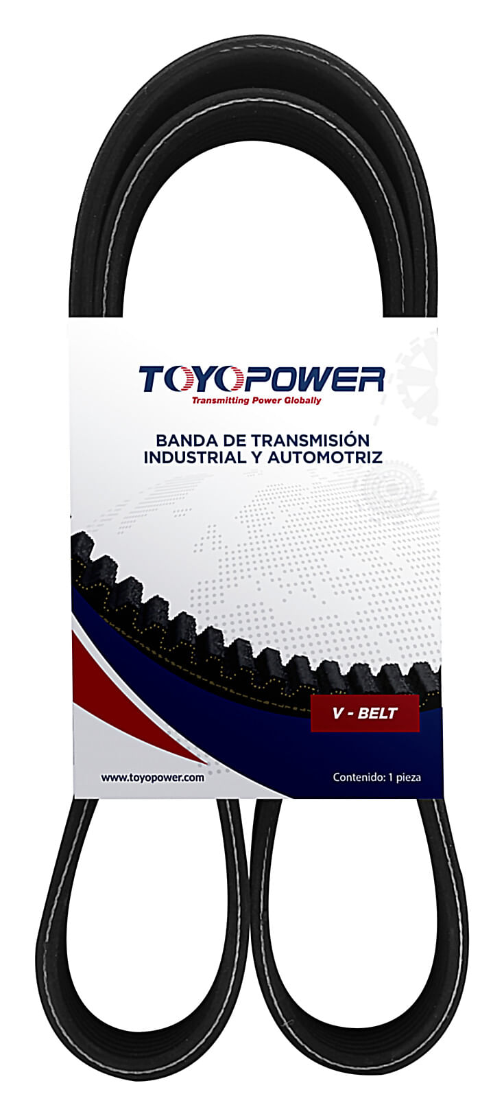 Banda Accesorios Serpentina Alternador