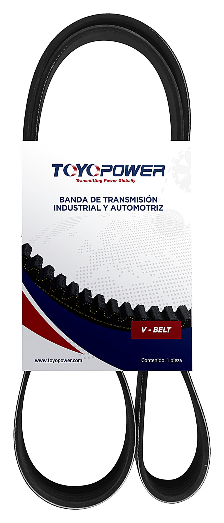 Banda Accesorios Serpentina Alternador