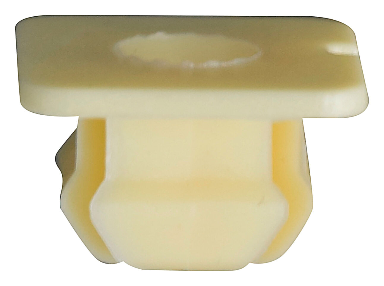 Muelas Para Pija Varios Usos 50 Piezas