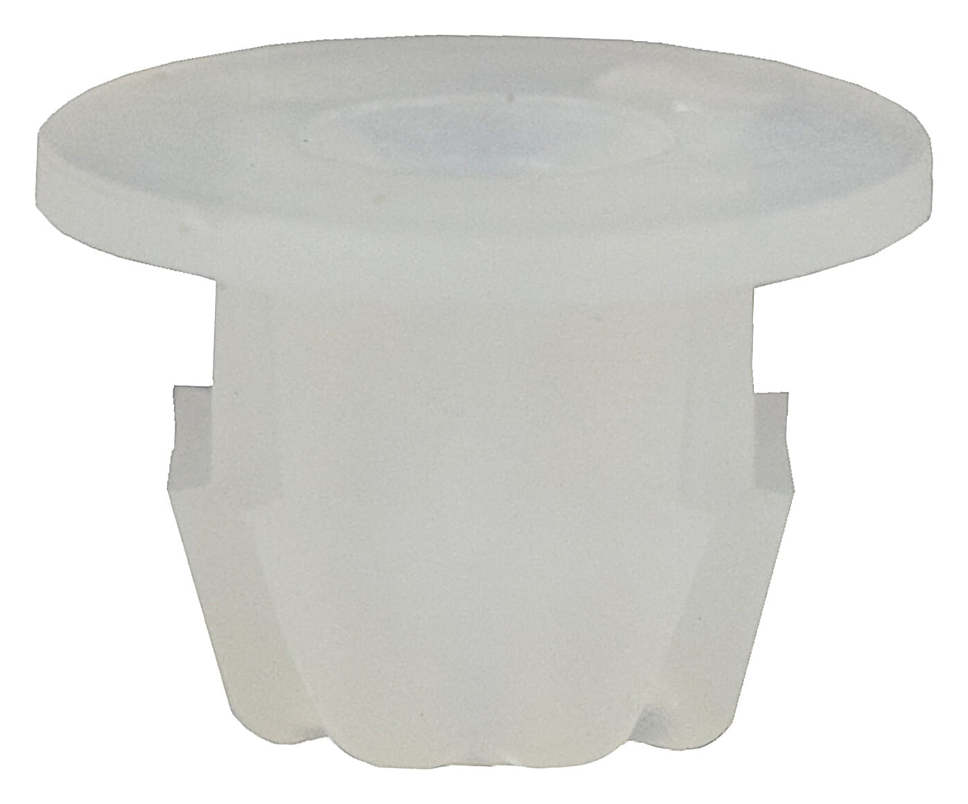 Muelas Para Pija 25 Piezas