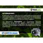 Texto-de-linea-2706068