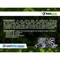 Texto-de-marca-2602955