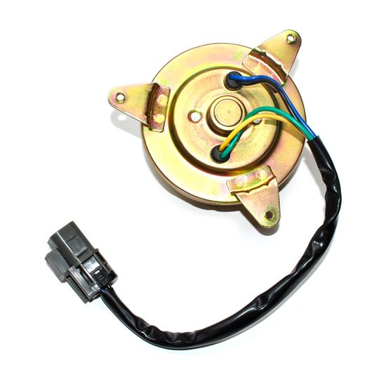 producto-2590021 producto-2590021