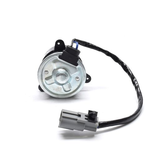 producto-2590243 producto-2590243