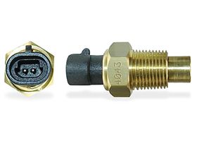 Sensor De Temperatura Del Refrigerante (CTS)