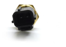 Sensor De Temperatura Del Refrigerante (CTS)