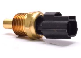 Sensor De Temperatura Del Refrigerante (CTS)