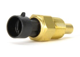 Sensor De Temperatura Del Refrigerante (CTS)