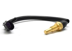 Sensor De Temperatura Del Refrigerante (CTS)