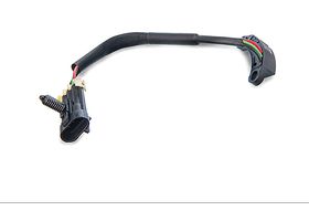 Sensor De Posición Del Cigüeñal (CKP)