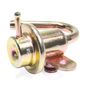 injetech-regulador-de-presion-de-gasolina-infiniti-qx4-1997-2000-qx4-v6-3-3l-0 injetech-regulador-de-presion-de-gasolina-infiniti-qx4-1997-2000-qx4-v6-3-3l-0