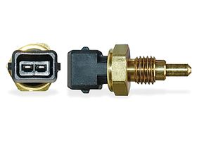 Sensor De Temperatura De Carga De Aire De Admisión (IAT)