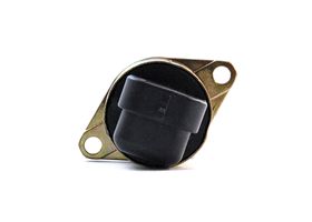 Válvula De Control De Aire En Marcha Mínima (IAC)