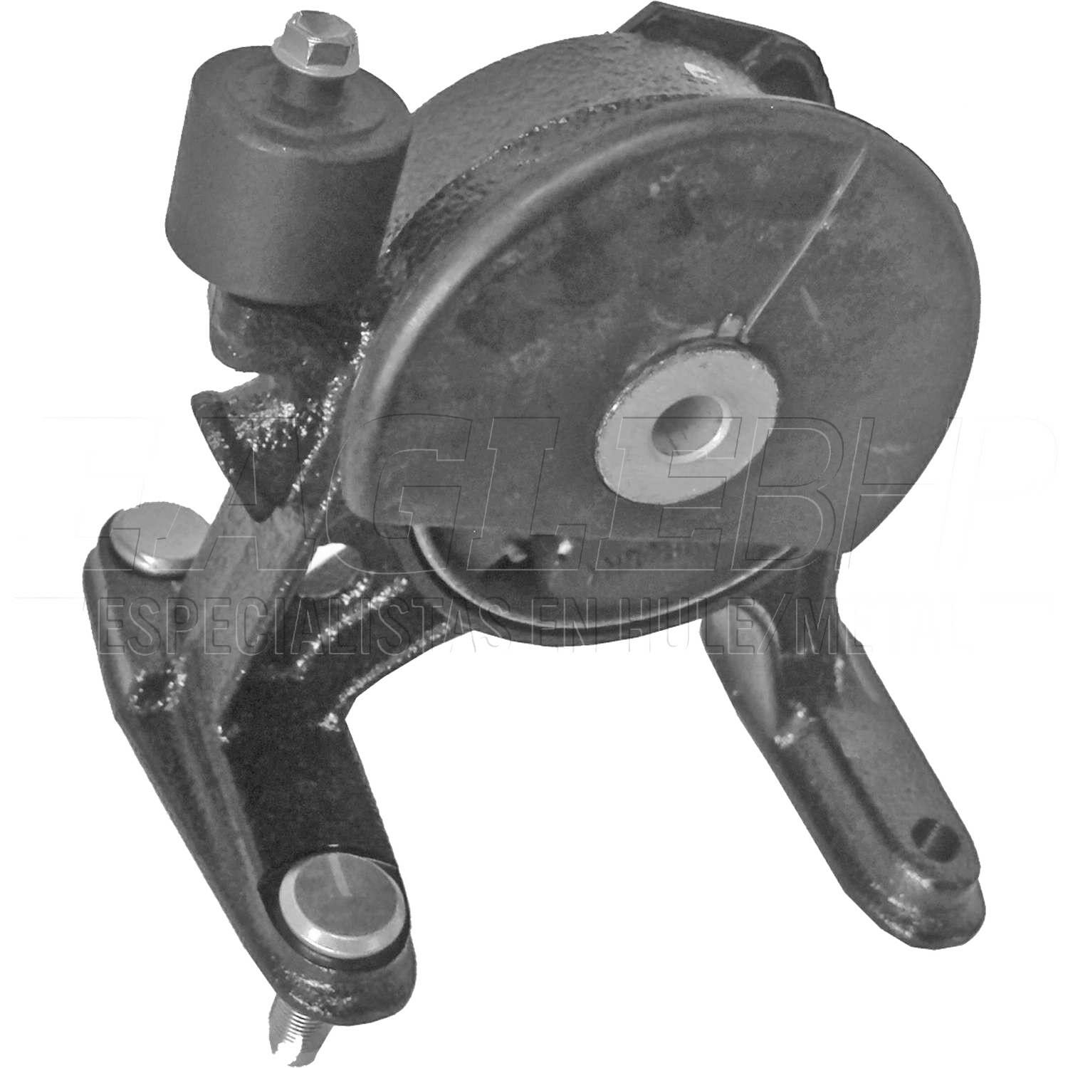 Soporte Motor Trasero