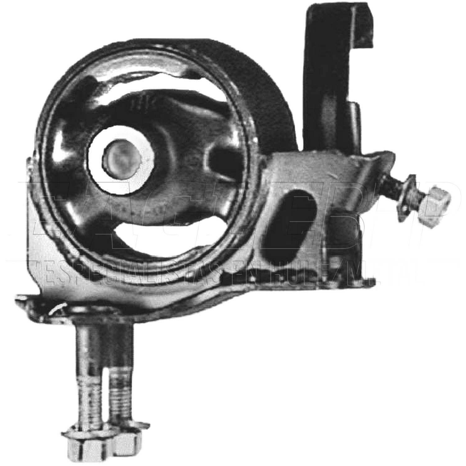 Soporte Motor Trasero