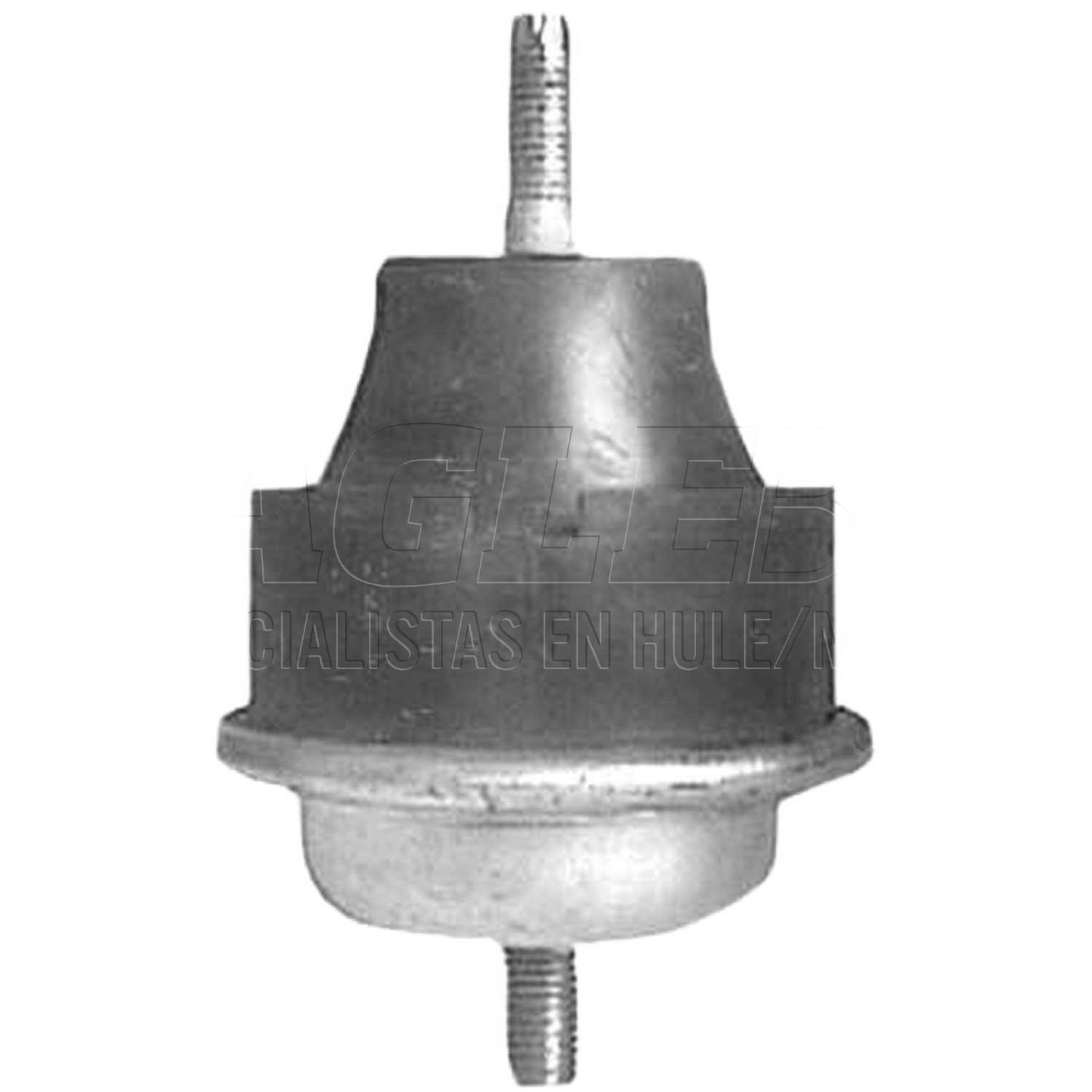 Soporte Motor Trasero