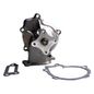 sealed-power-bomba-de-agua-nissan-sentra-1991-2000-sentra-l4-1-6l-0