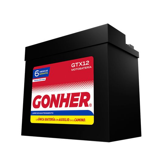 gonher-bateria-agm-honda-serie-gl-1996-gl1500-gold-wing-1520-cc-0 gonher-bateria-agm-honda-serie-gl-1996-gl1500-gold-wing-1520-cc-0