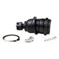 ts-rotula-para-horquilla-delantera-inferior-lado-conductor-o-pasajero-nissan-sentra-2000-sentra-0