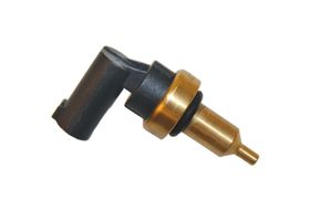 Sensor De Temperatura Del Refrigerante (Cts)