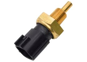 Sensor De Temperatura Del Refrigerante (Cts)