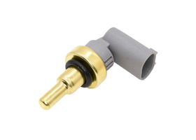 Sensor De Temperatura Del Refrigerante (Cts)