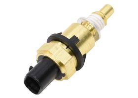 Sensor De Temperatura Del Refrigerante (Cts)