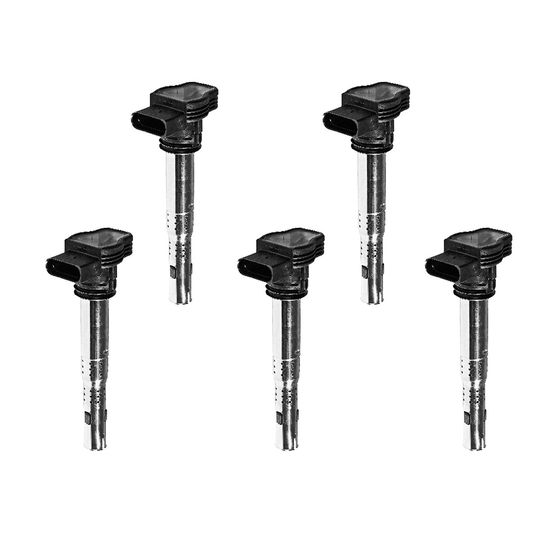 beru-kit-de-5-bobinas-de-encendido-volkswagen-passat-2012-2016-passat-l5-2-5l-0 beru-kit-de-5-bobinas-de-encendido-volkswagen-passat-2012-2016-passat-l5-2-5l-0