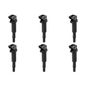 beru-kit-de-6-bobinas-de-encendido-bmw-serie-3-2001-2005-330i-l6-3-0l-0