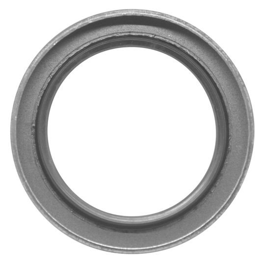 national-reten-del-pinon-del-diferencial-trasero-ford-serie-f-1978-1998-f-250-0 national-reten-del-pinon-del-diferencial-trasero-ford-serie-f-1978-1998-f-250-0