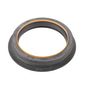 national-reten-de-cigenal-delantero-dodge-ram-1994-2009-ram-2500-l6-5-9l-0