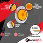 Infografia