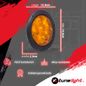 Infografia