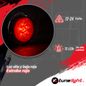 Infografia
